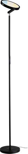 Paulmann 78019 Stehlampe 20 W Schwarz