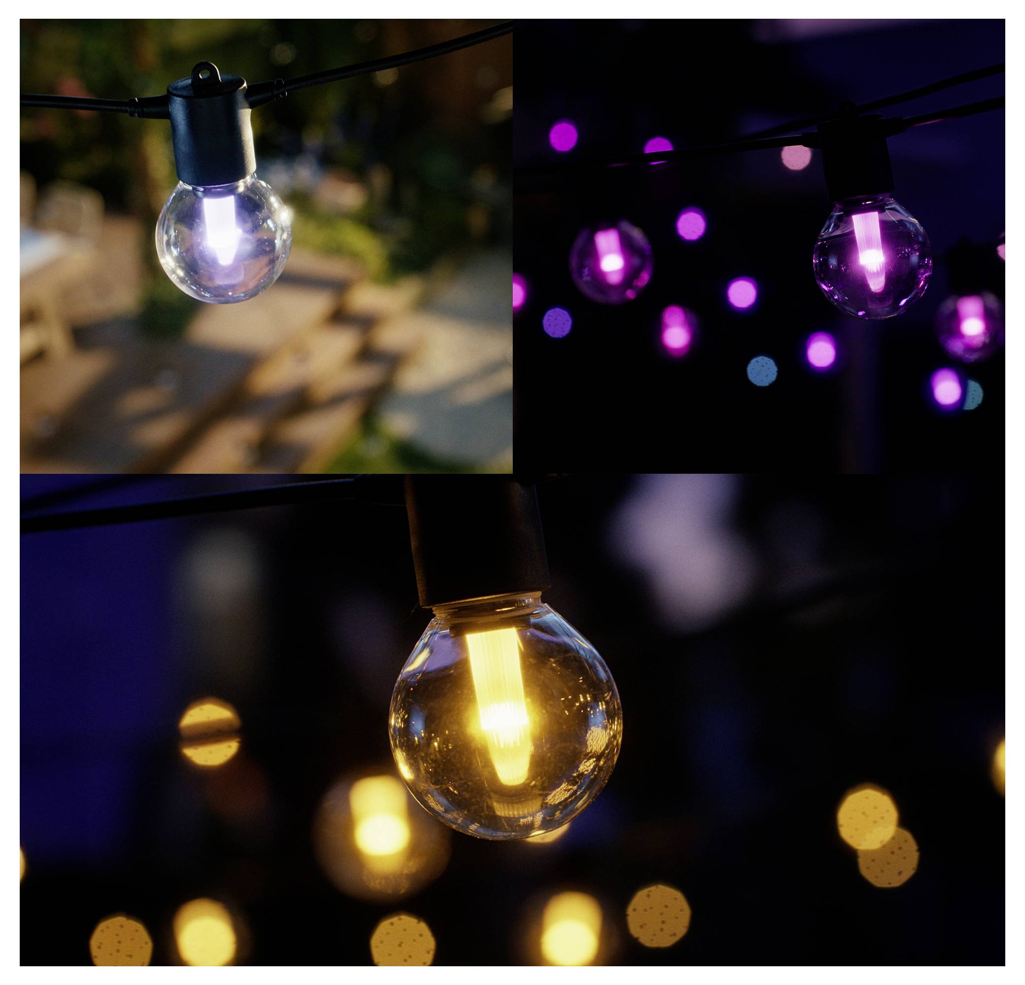 Drei Fotos von Lichterketten: Links oben ist eine klare Glühbirne in einem Garten zu sehen; rechts oben sind lila Lichter in der Nacht; unten leuchtet eine Glühbirne in der Abenddämmerung.