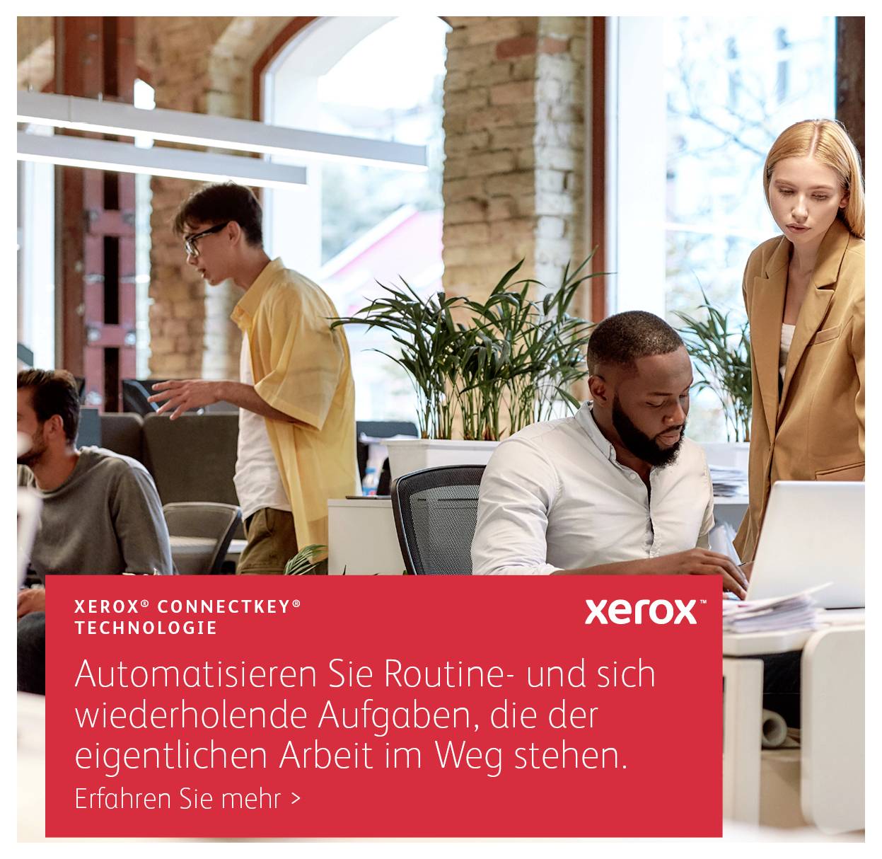 In einem Büro arbeiten vier Personen an Computern; vorne sitzt ein Mann, im Hintergrund stehen zwei Personen mit roten Ordnern.