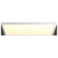 PhilipsHue White Ambiance Aurelle Panel 8720169328990 39W PhilipsHue White Ambiance Aurelle Panel 8720169328990 39W