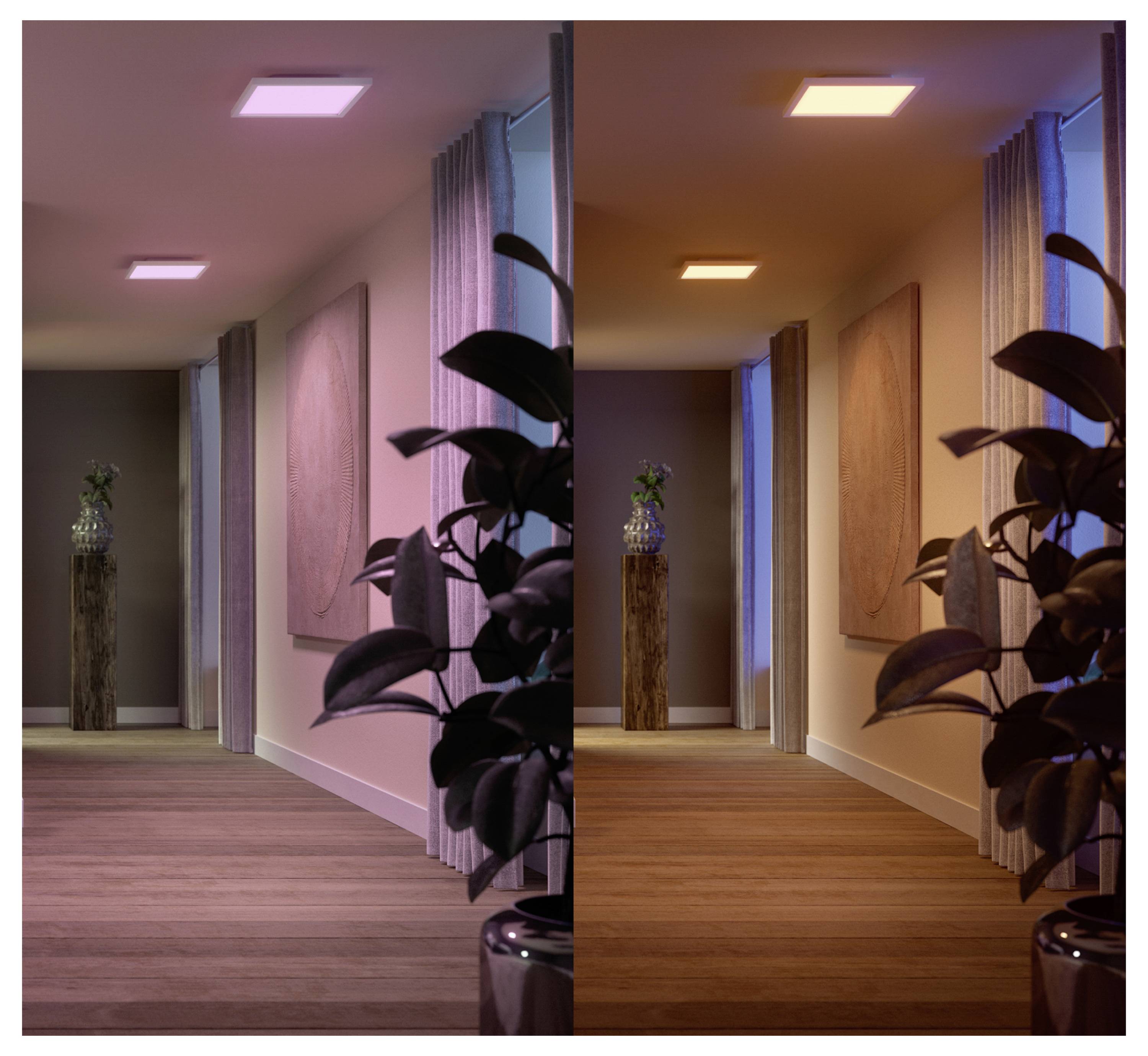 Flur mit zwei Beleuchtungsbedingungen: links mit violettem Licht, rechts mit orangefarbenem Licht, mit einer Pflanze und einem Gemälde an der Wand.