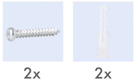 Zwei Metallschrauben und zwei Kunststoff-Dübel.
