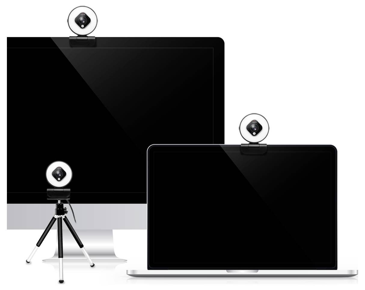 LogiLink UA0384 Full HD-Webcam Klemm-Halterung, Mikrofon