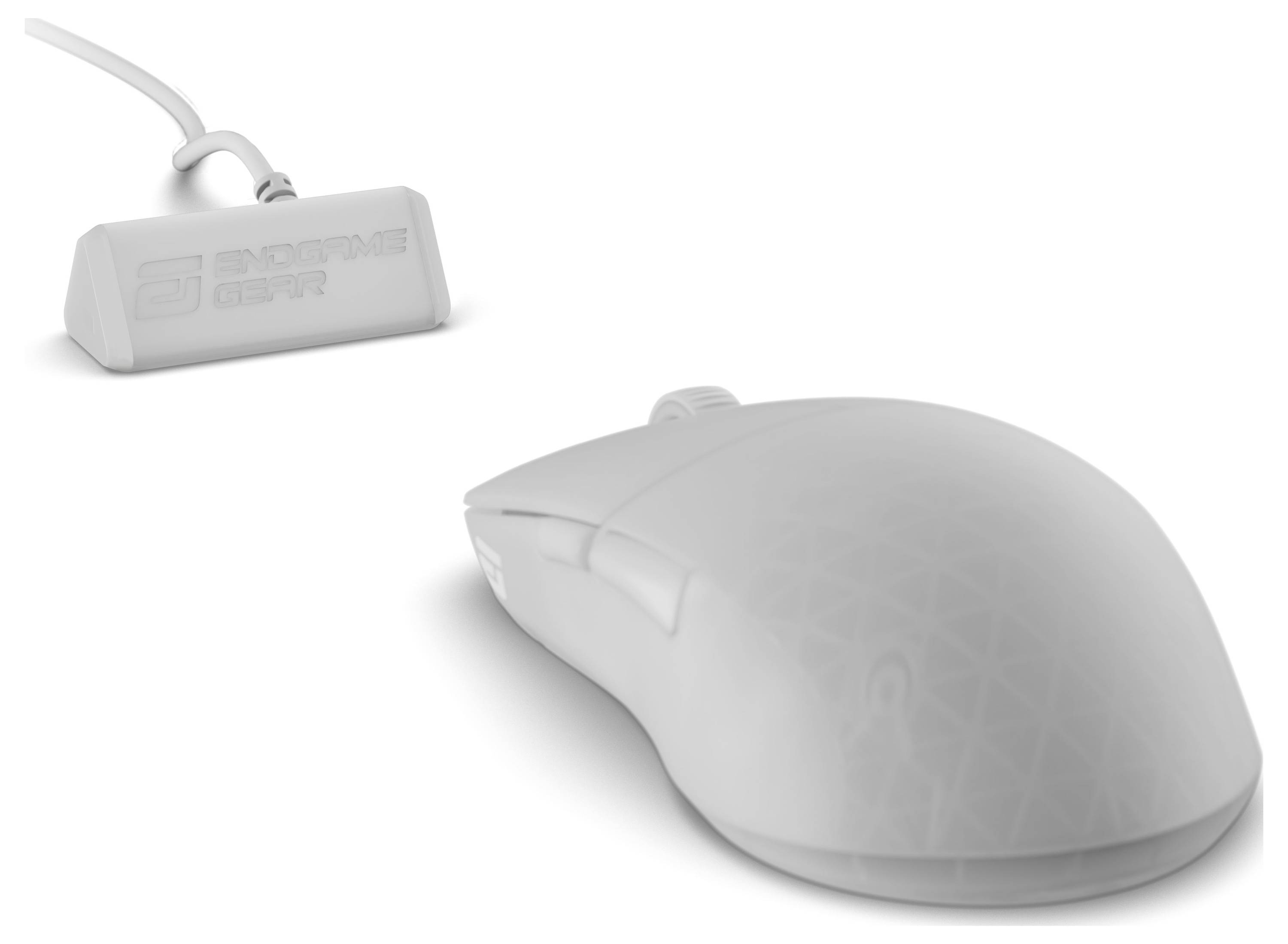 Eine kabellose Computermaus und ihr USB-Empfänger, beide in Weiß, positioniert auf einer weißen Oberfläche. Die Maus verfügt über ein geometrisches Muster.