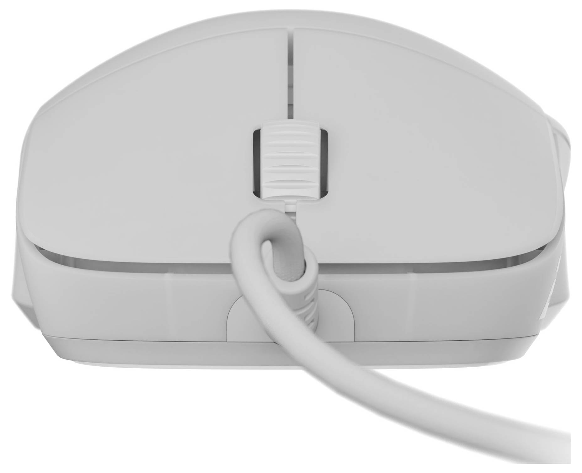 Eine weiße Computermaus von vorne betrachtet, mit einem Scrollrad und einem Kabel, das sich in Richtung des Betrachters erstreckt.