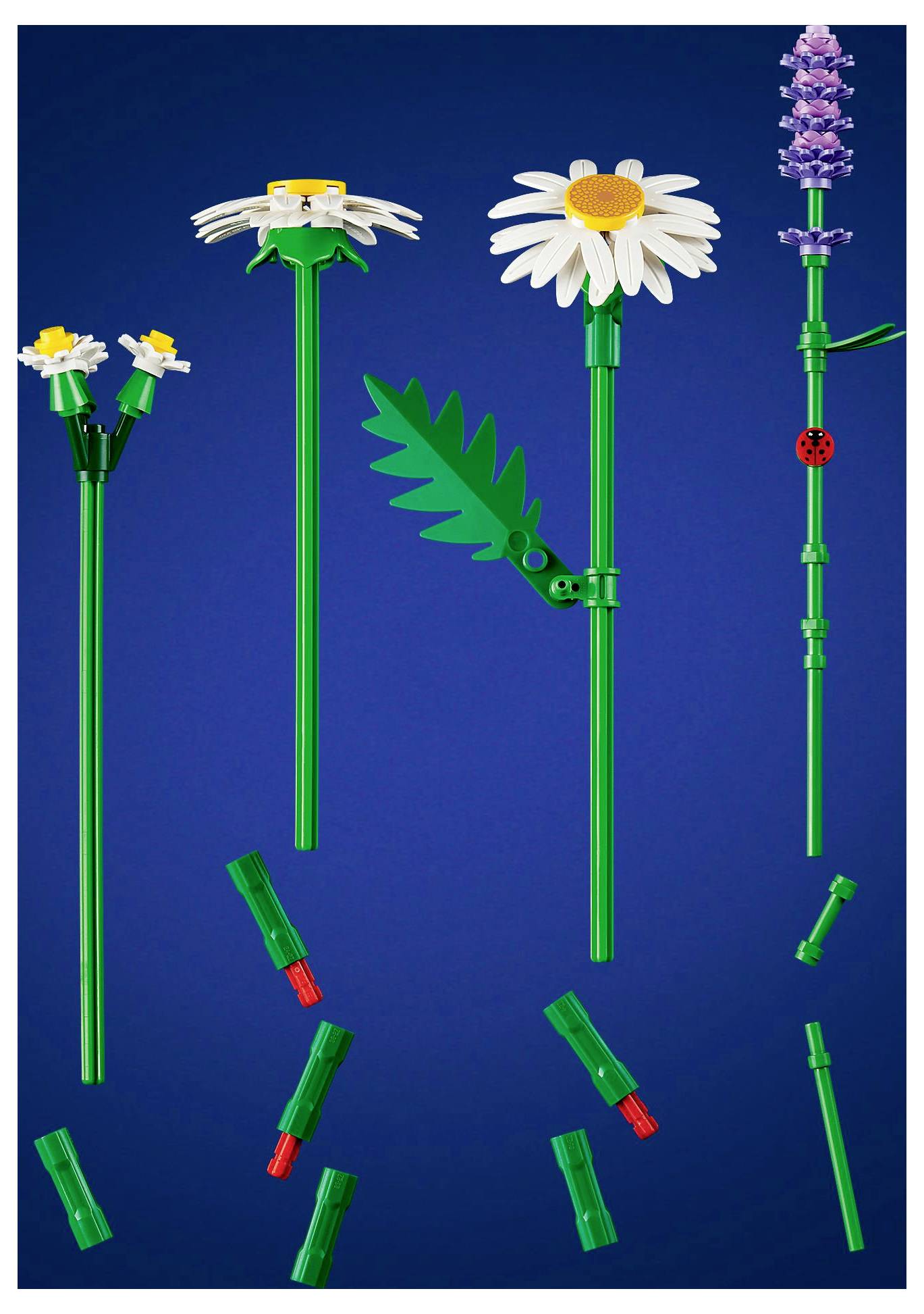 'LEGO Botanische Kollektion' mit Gänseblümchen, Lavendel und anderen Blumenbauelementen vor einem blauen Hintergrund, mit auswechselbaren Teilen.