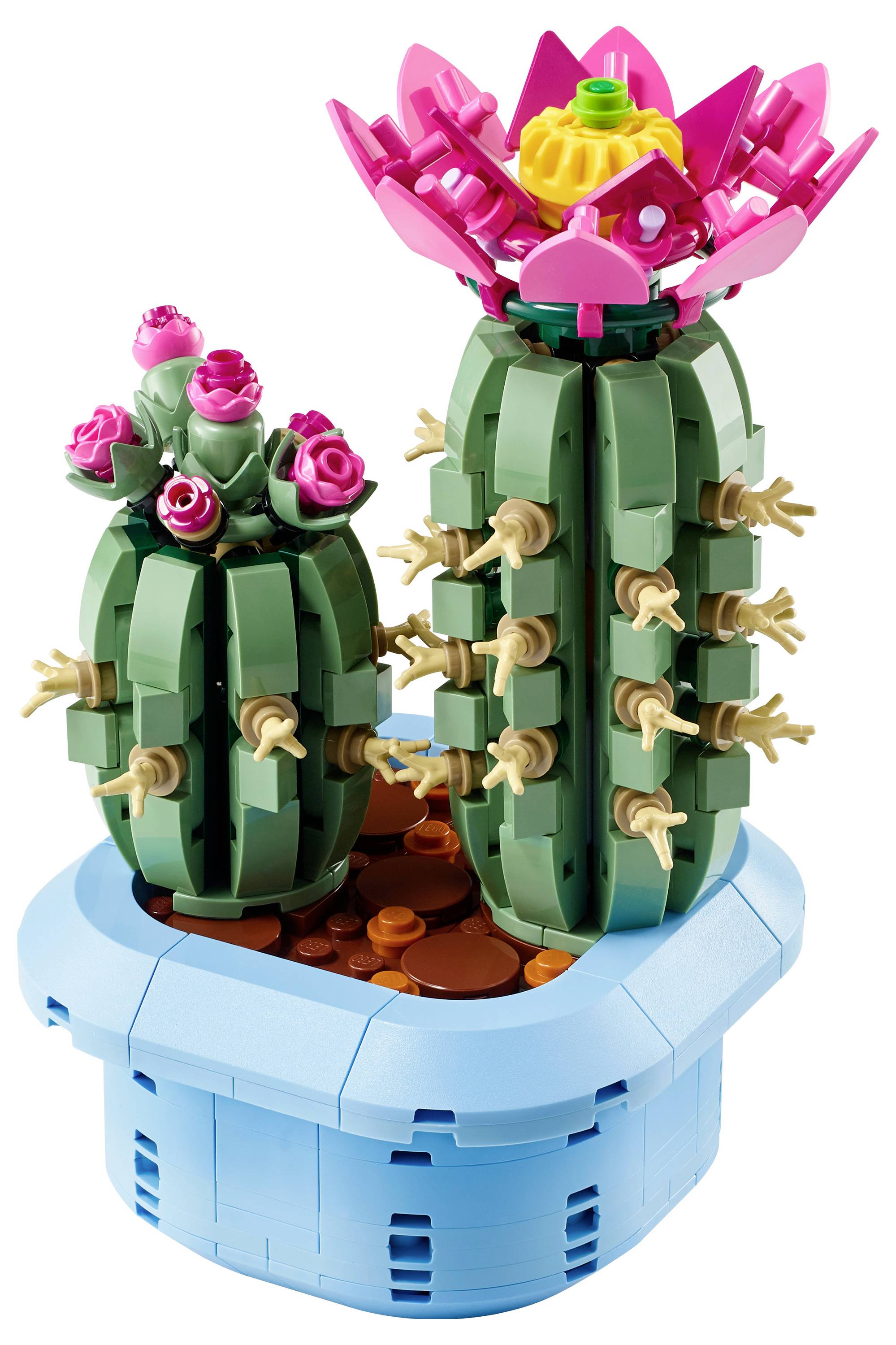 Zwei LEGO-Kakteen mit Blumen in einem blauen Topf; ein Kaktus trägt pinke Rosen, der andere hat pinke und gelbe Blüten, beide mit kleinen braunen Dornen.