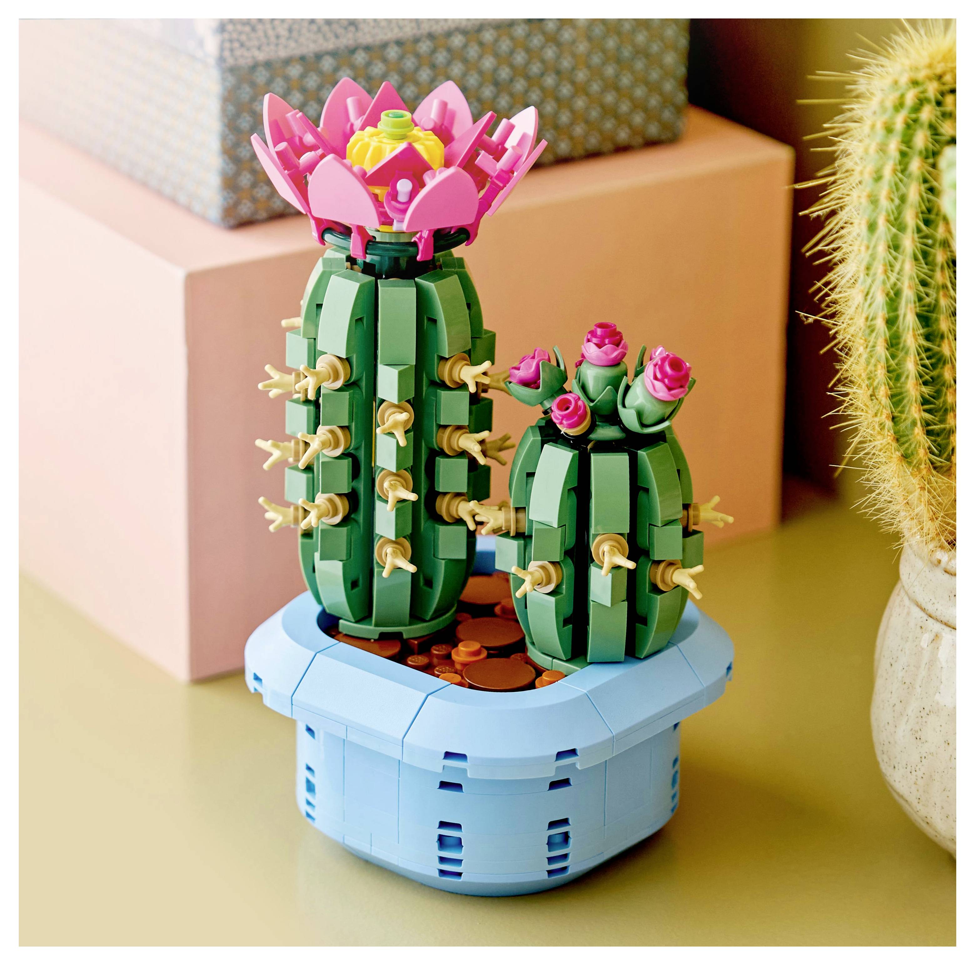 LEGO-Set mit zwei Kakteen mit rosa Blüten auf einer blauen Basis, auf einem Tisch ausgestellt neben einem echten Kaktus und einem Stapel von Kartons.