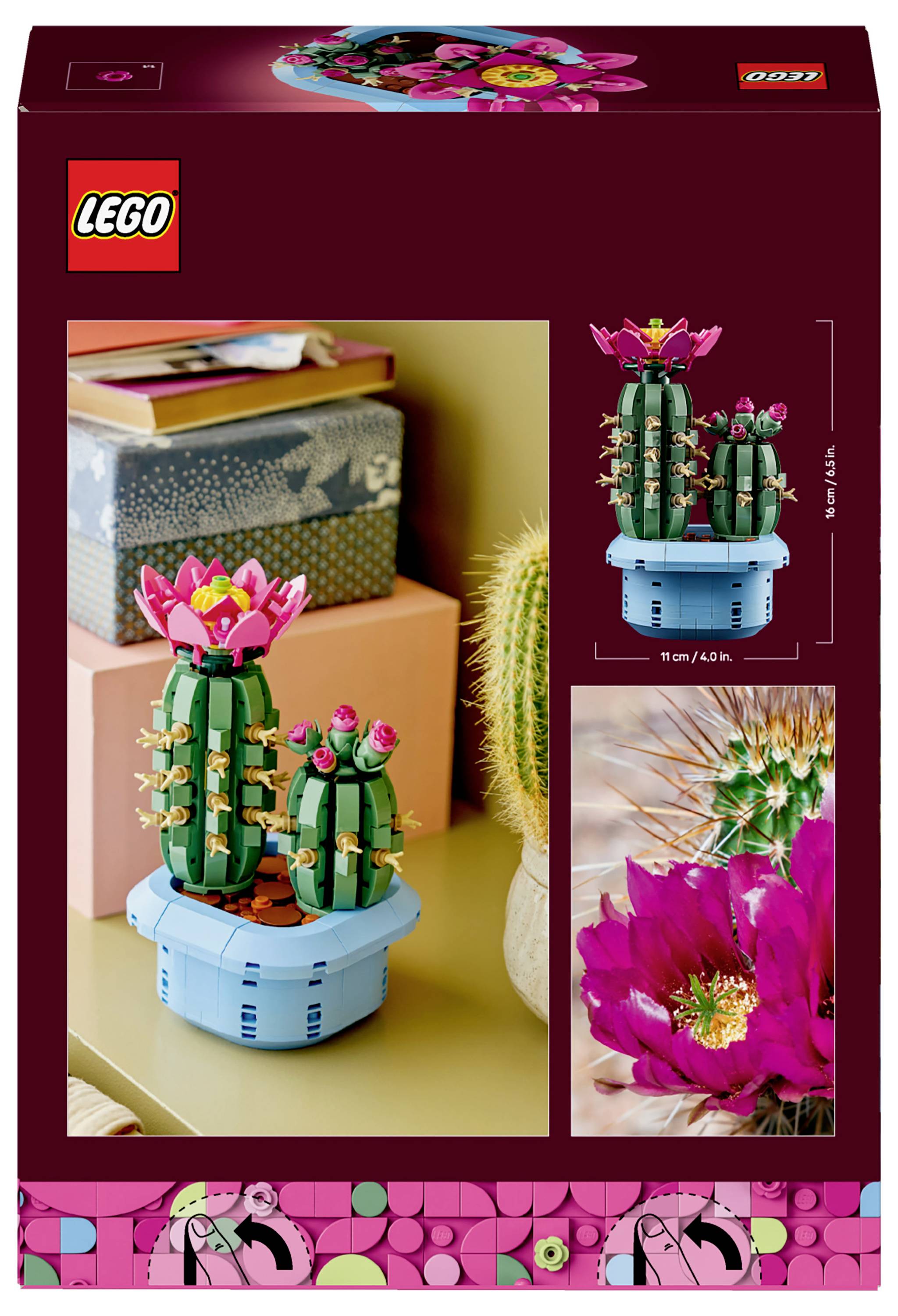Eine bunte LEGO-Kakteensammlung mit rosa Blüten auf einem Tisch. Die Schachtel zeigt das zusammengebaute Modell und Details und präsentiert lebendige Wüstenpflanzen.