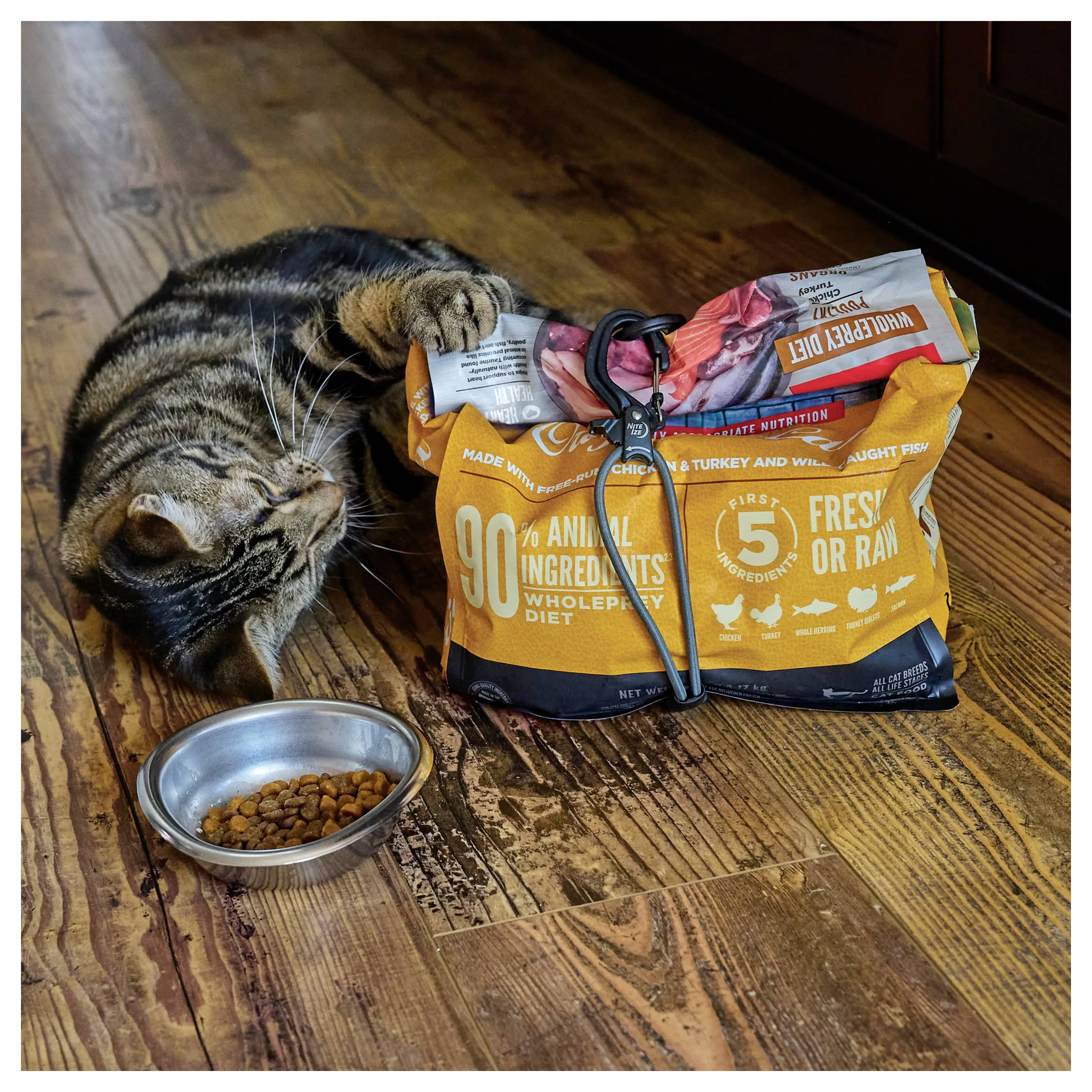Eine Katze liegt auf einem Holzboden und reißt spielerisch an einem Sack Katzenfutter. Eine silberne Schüssel mit einigen Trockenfutterbrocken befindet sich neben dem Sack.