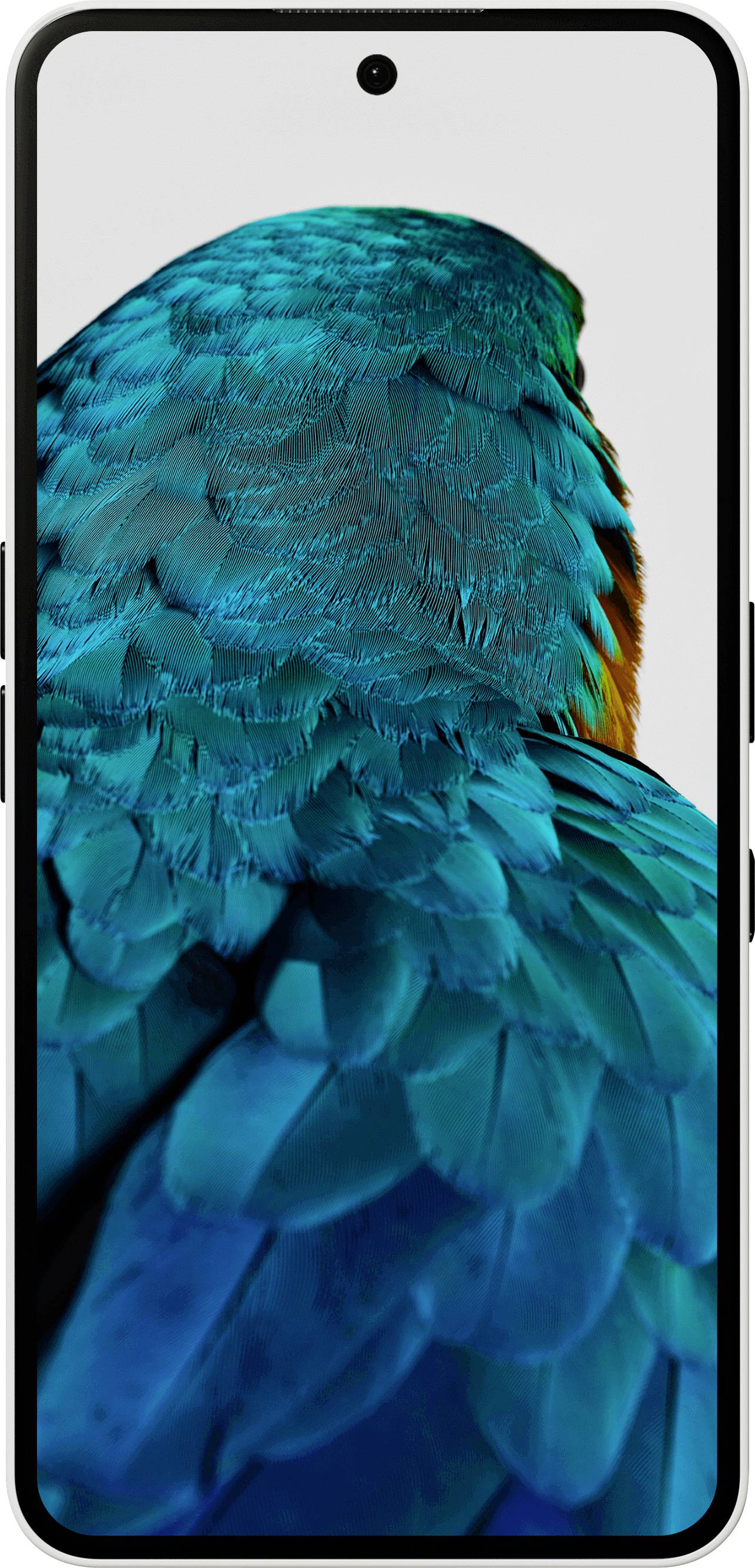 Smartphone-Bildschirm, der ein leuchtendes Bild eines Vogels mit türkisfarbenen und orangefarbenen Federn zeigt, wobei das gesamte Display mit kunstvollen Details ausgefüllt ist.