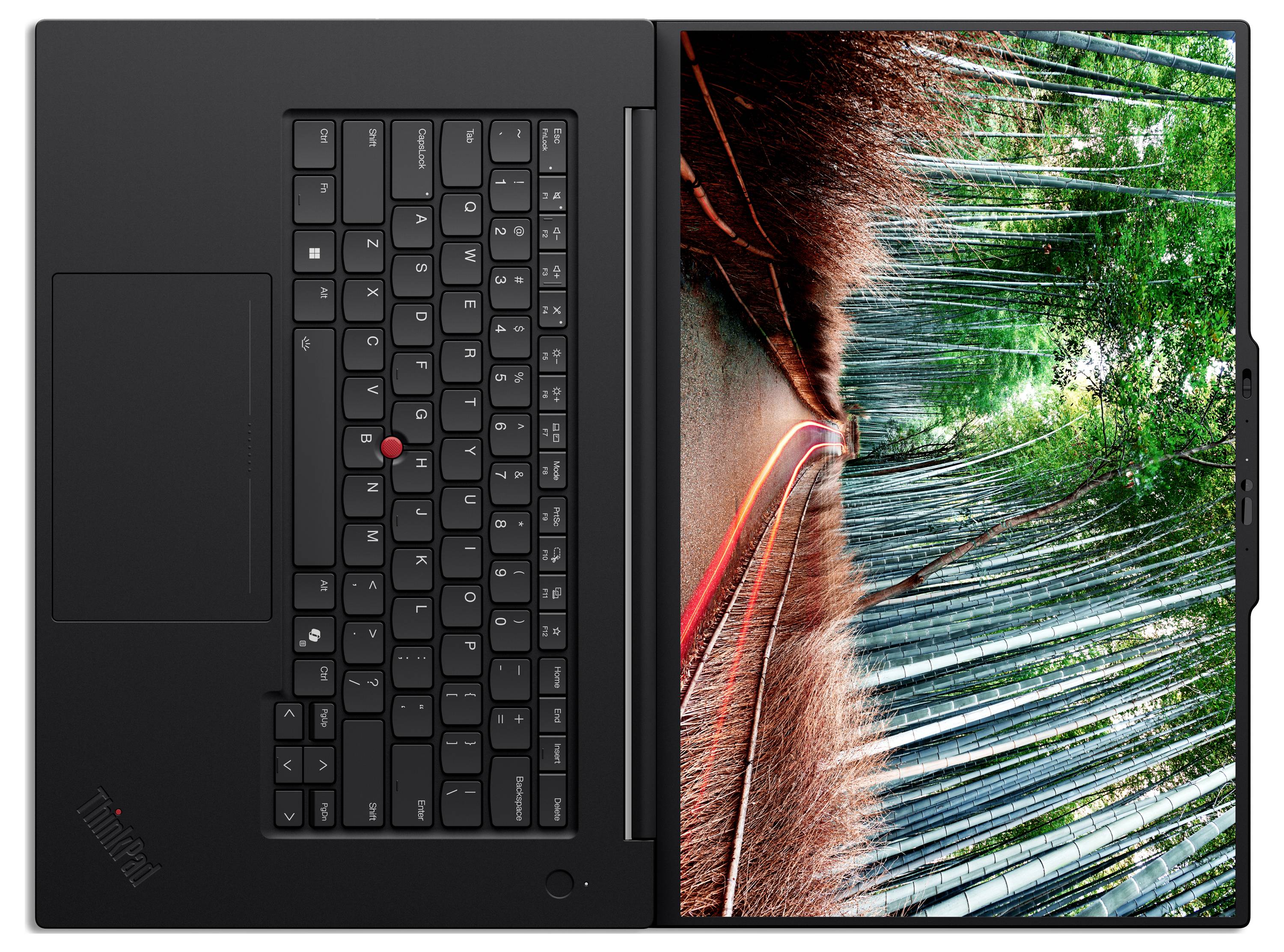 Ein schwarzer Laptop ist teilweise zugeklappt und zeigt einen bunten Bambuswald auf dem Bildschirm. Die Tastatur ist sichtbar, wobei der rote Trackpoint hervorgehoben wird.