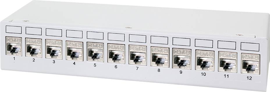 Netzwerk-Patchpanel mit zwölf beschrifteten RJ45-Ports zur Kabelführung.
