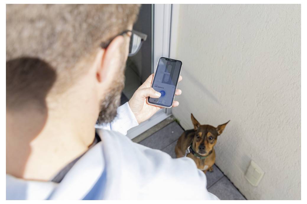 ABUS ABWO10000W Fensterantrieb Aufbau