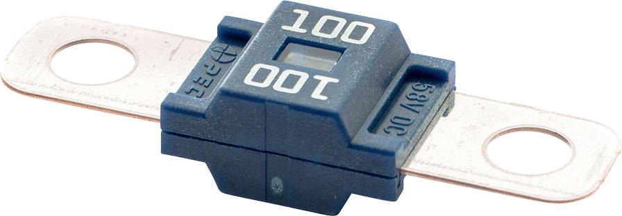 Blaue Autosicherung mit der Beschriftung „100