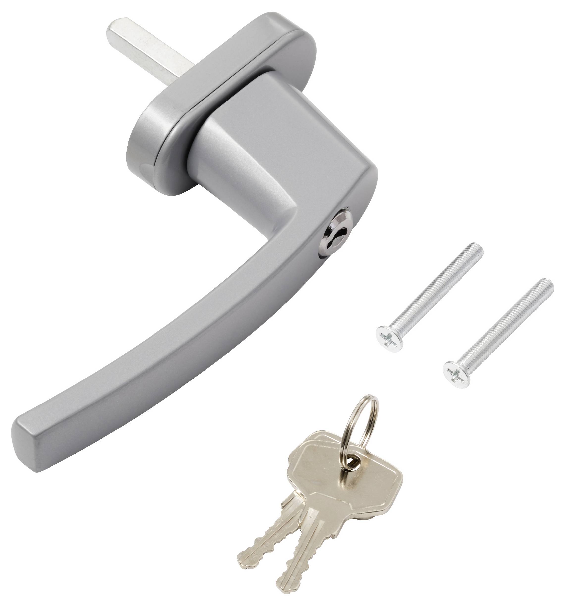 Silberner Türgriff mit einem Schließmechanismus, zwei Schrauben und zwei Schlüsseln an einem Ring, vorgesehen zur Montage an Türen.