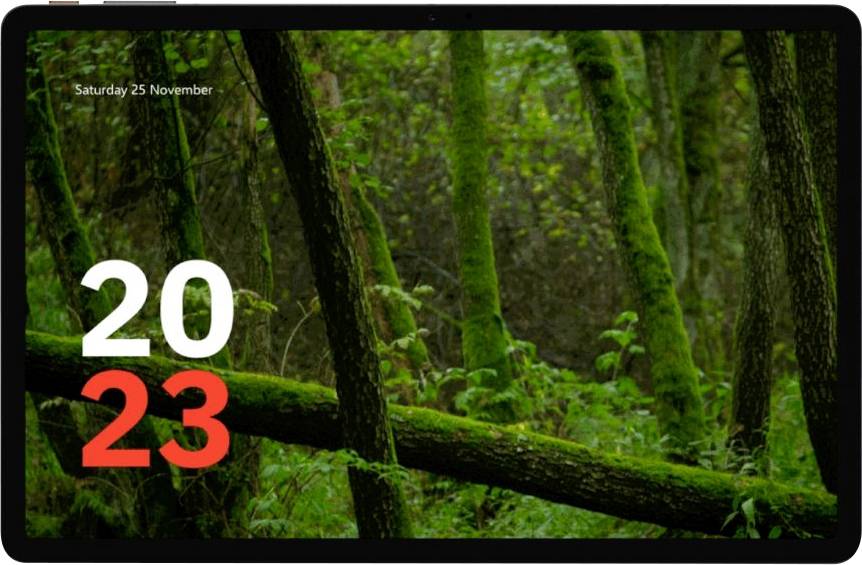 Eine moosige Waldszene mit sich überlagernden Baumstämmen und dunklem Hintergrund. Das Datum „Samstag, 25. November