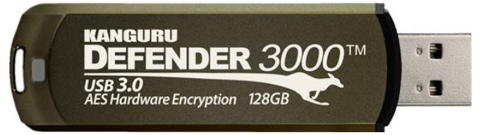 IStorage Kanguru Defender 3000 16GB USB-Stick Braun KDF3000-16G