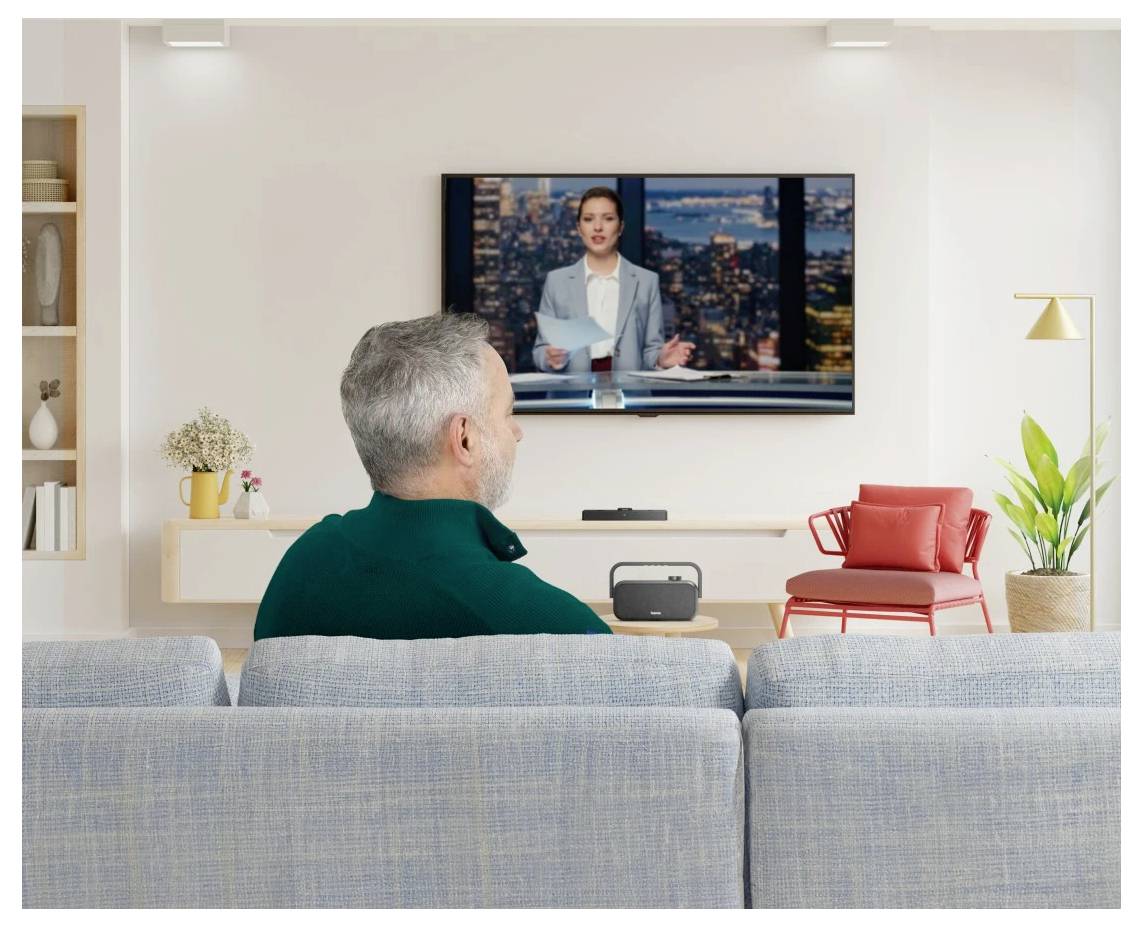 Hama TV-Lautsprecher AUX, USB Schwarz, Grau