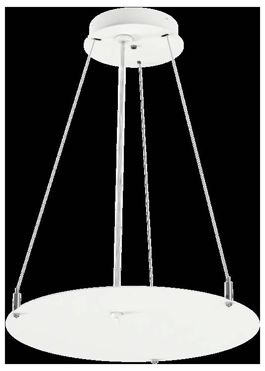 RIDI 0209494 Seilabhängung MAXI800-ZSP-DB 2M 1St.