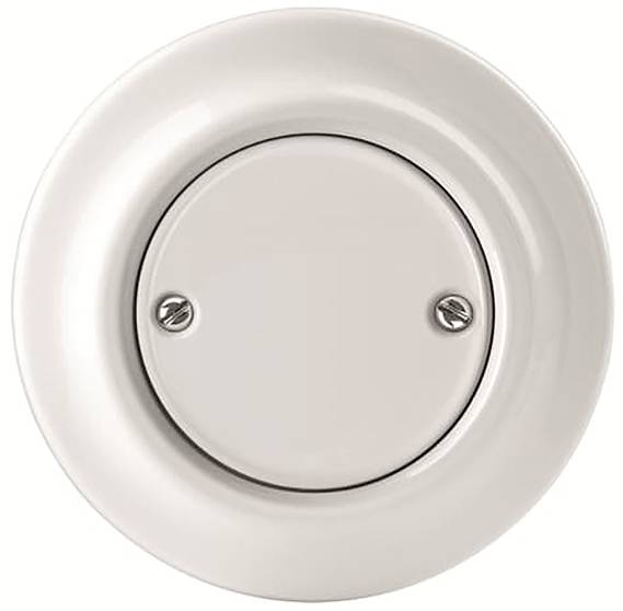 Busch-Jaeger 2CHK050100C5300 1St.