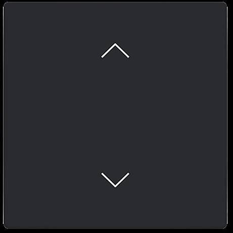 Busch-Jaeger 2CKA006199A0212 1St.