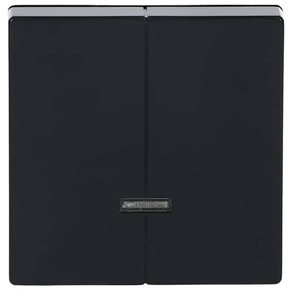 Busch-Jaeger 2CKA006599A2906 1St.