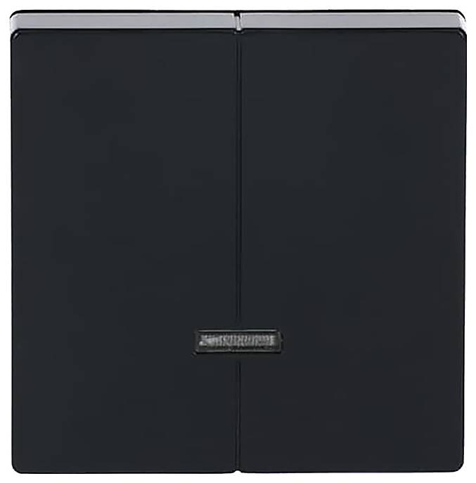 Schwarzer Doppelschalter mit schlankem, modernem Design.