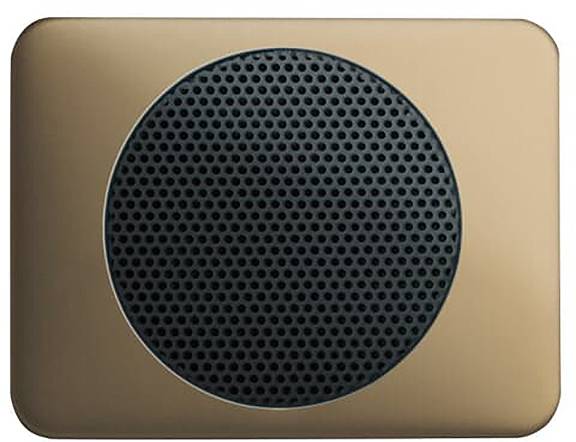 Ein rechteckiger, goldgefärbter Lautsprecher mit abgerundeten Kanten und einer kreisförmigen schwarzen Netzfront.