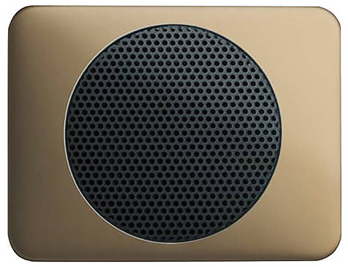 Ein rechteckiger Lautsprecher mit Bronzefinish und einer runden schwarzen Netzabdeckung in der Mitte.