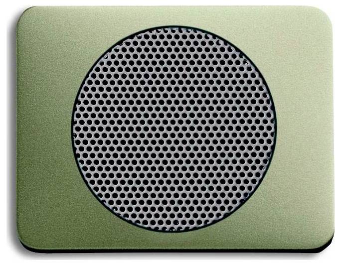 Ein grüner rechteckiger Lautsprecher mit einem kreisförmigen schwarzen Gitter in der Mitte für die Schallabgabe.