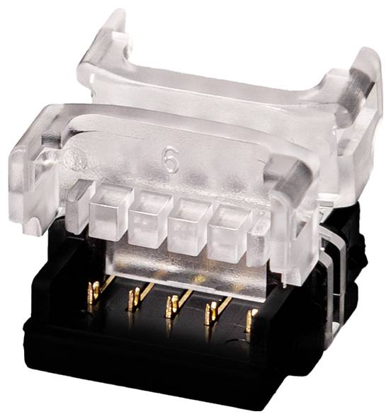 Nahaufnahme eines durchsichtigen, RJ45-ähnlichen modularen Steckers mit acht vergoldeten Kontakten auf schwarzer Basis, dargestellt auf weißem Hintergrund.