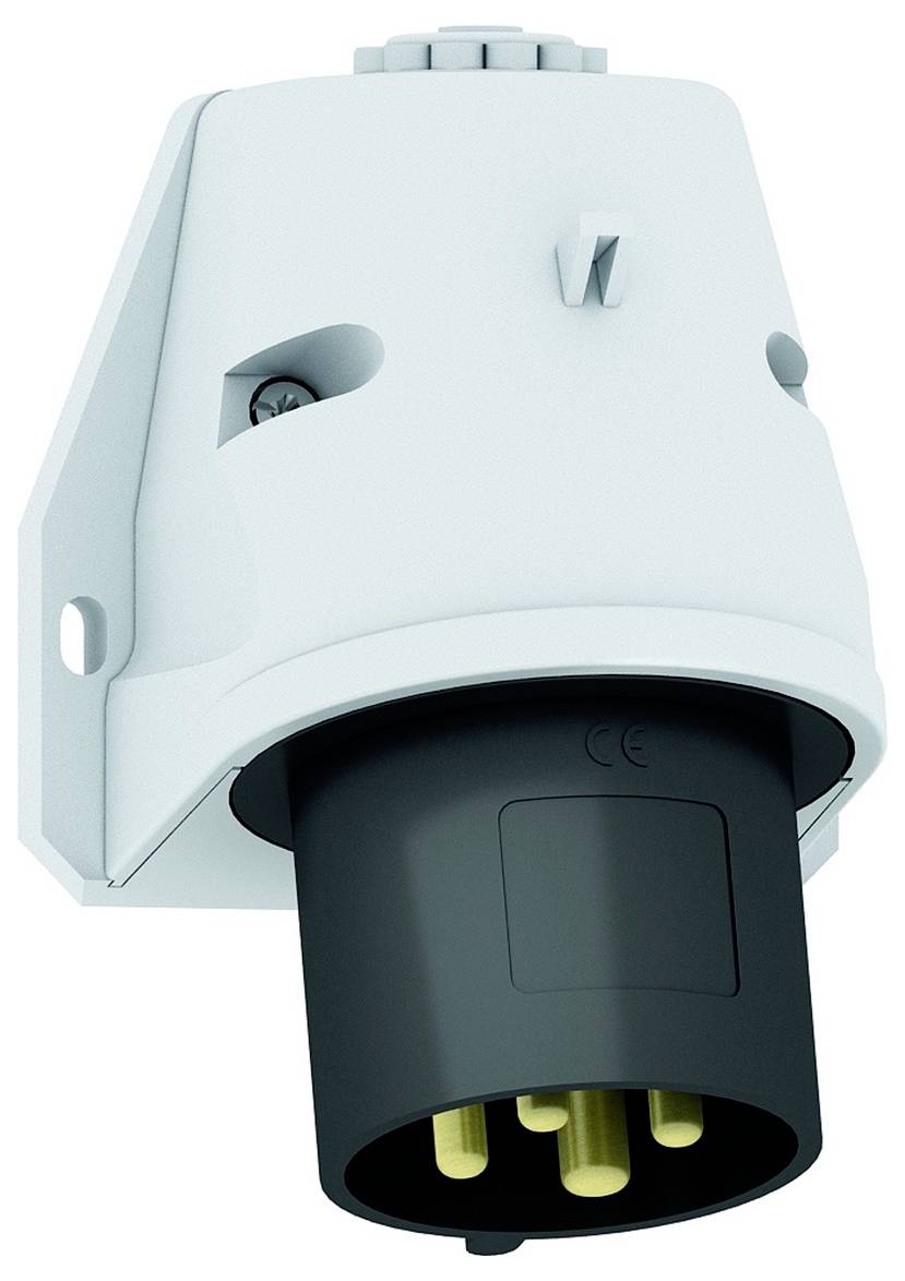 Eine an der Wand montierte industrielle Elektrosteckdose mit schwarzem und weißem Gehäuse und mehreren sichtbaren vergoldeten Steckern.