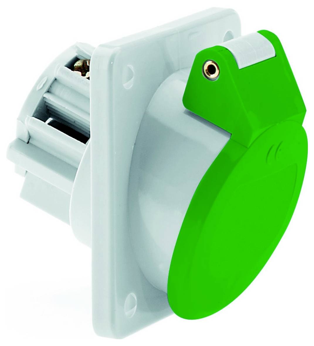 Eine grüne elektrische Wandsteckdose mit sichtbaren seitlichen Verdrahtungskammern, für Aufputzmontage ausgelegt, vor einem einfarbigen Hintergrund.