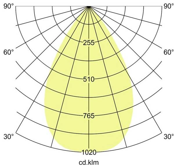 Polarlichterverteilungsdiagramm mit symmetrischem Strahlenmuster, mit Intensitätsbezeichnungen 255, 510, 765 und 1020 cd.klm.