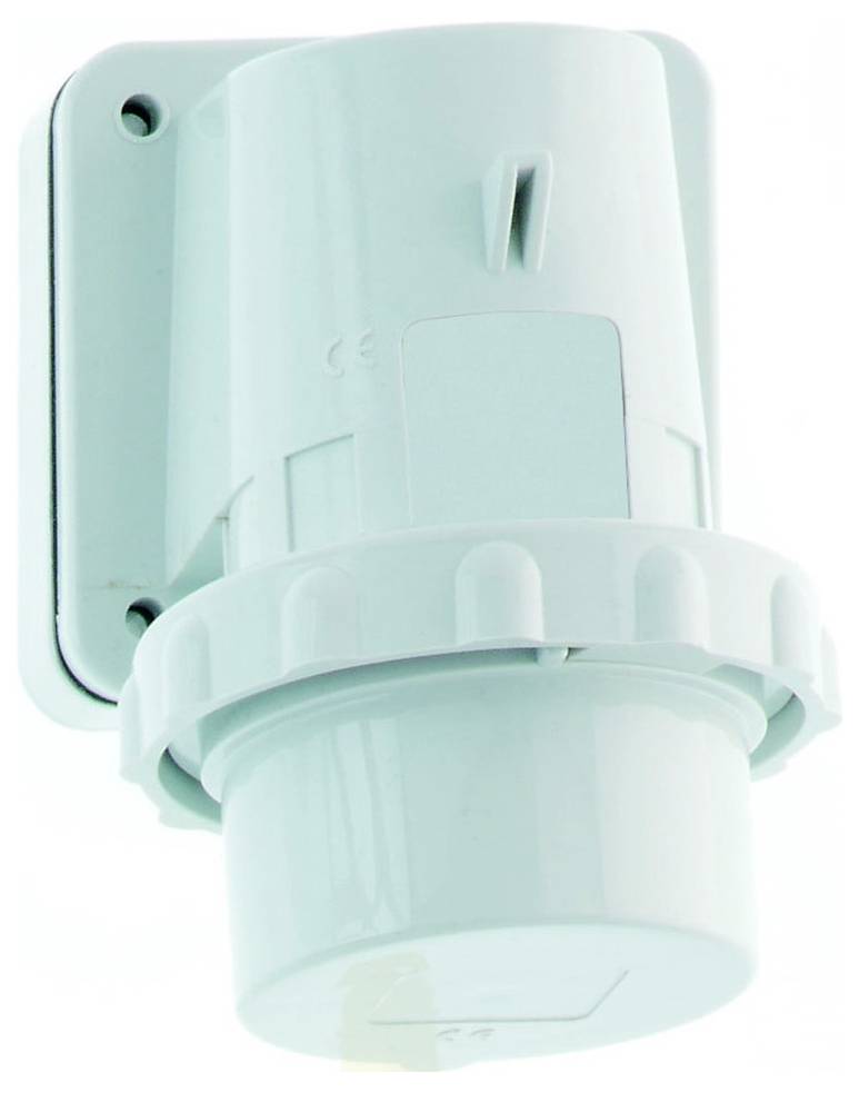 Ein hellblaues Industrie-Stecker auf einer Wandplatte montiert, mit einem kreisförmigen Verriegelungsmechanismus und einer Schutzkappe an der Vorderseite.