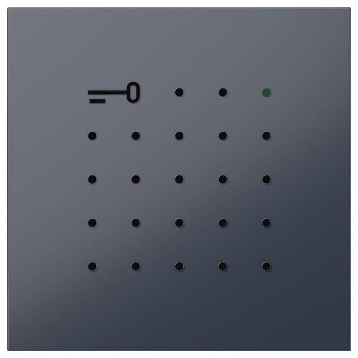 Ein dunkles Bedienfeld mit einem Schlüsselsymbol und einem Gitter von 16 schwarzen Punkten; ein einzelner Punkt oben rechts ist grün hervorgehoben.