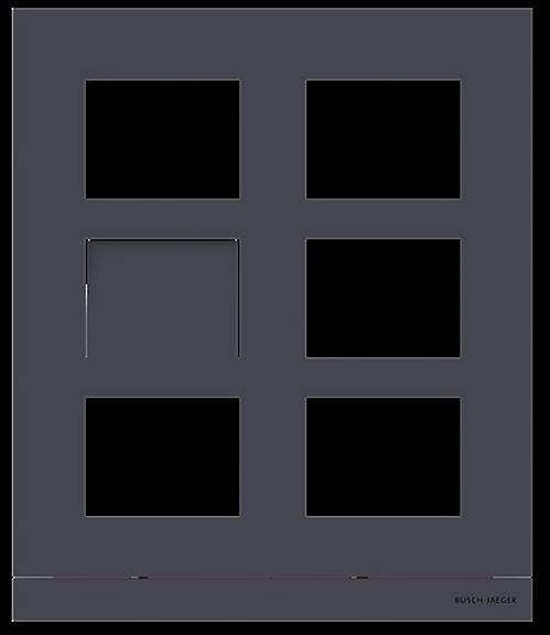 Busch-Jaeger 2TMA220160B1012 Frontplatte