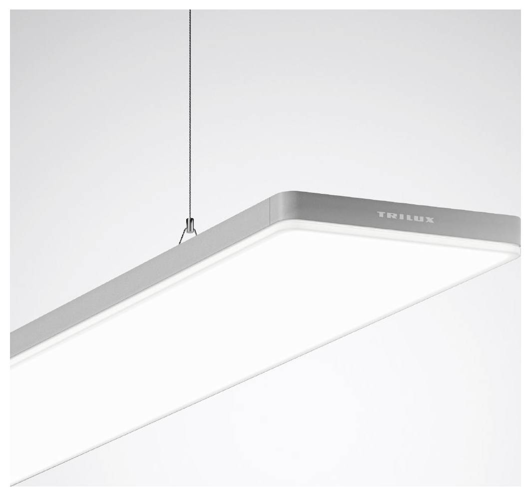 Deckenmontageleuchte in Schwarz mit zylindrischem LED-Leuchtenkopf, entworfen für verstellbare Richtungsbeleuchtung.