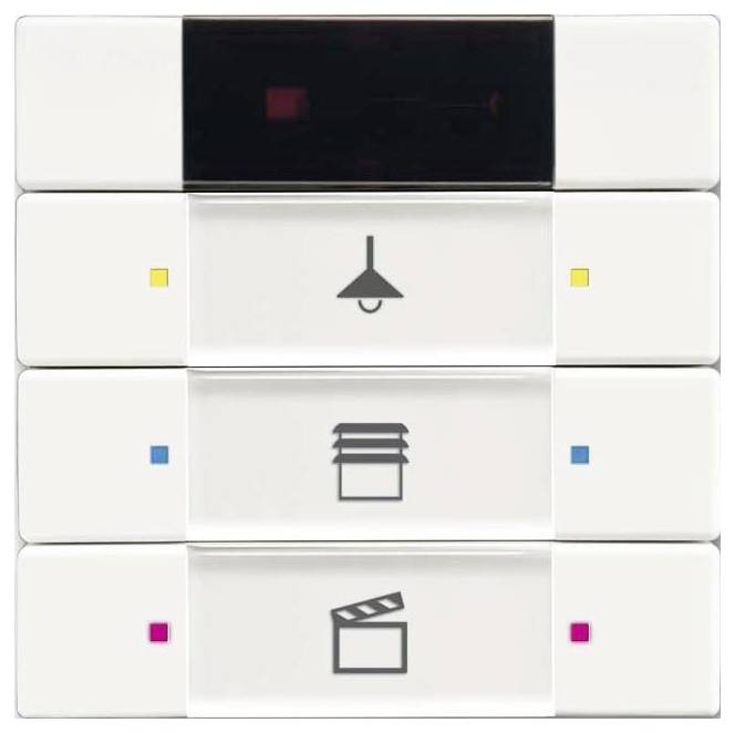 Eine schwarze zylindrische Schienenstrahler-Leuchte, die auf einer Metallschiene montiert ist und für verstellbare Richtungsbeleuchtung in modernen Innenräumen konzipiert wurde.