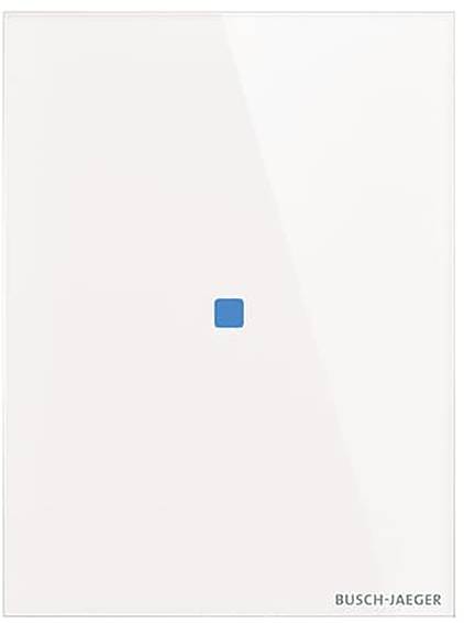Ein weißer Lichtschalter mit einem kleinen blauen quadratischen Knopf in der Mitte. Der Text unten rechts lautet „Busch-Jaeger