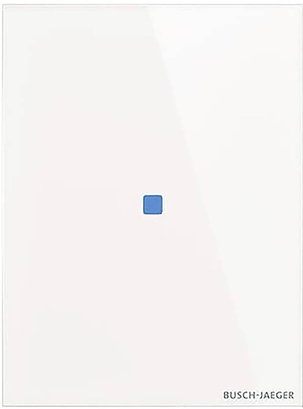 Ein weißes rechteckiges Schaltpanel mit einem kleinen blauen quadratischen Knopf in der Mitte, mit der Bezeichnung „Busch-Jaeger
