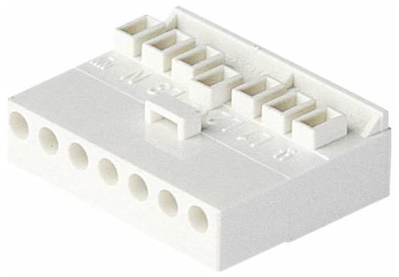 Nahaufnahme von vier Ethernet-Kabeln, zwei rot und zwei blau, mit Metallsteckern. Eine kreisförmige Einfassung zeigt ein mitgeliefertes Verschlusskappe-Zubehör.