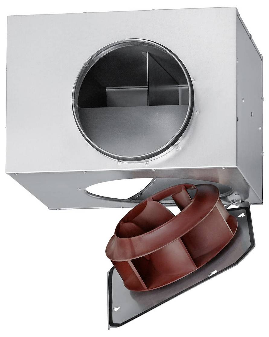 Verstellbare Schutzbrille mit klaren Gläsern und blauen Akzenten auf schwarzem Rahmen, entwickelt zum Schutz der Augen in verschiedenen Arbeitsumgebungen.