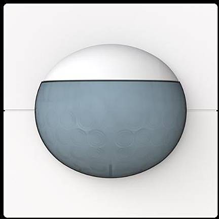 Busch-Jaeger 2CKA006800A3137 Bewegungs- u. Helligkeitssensor