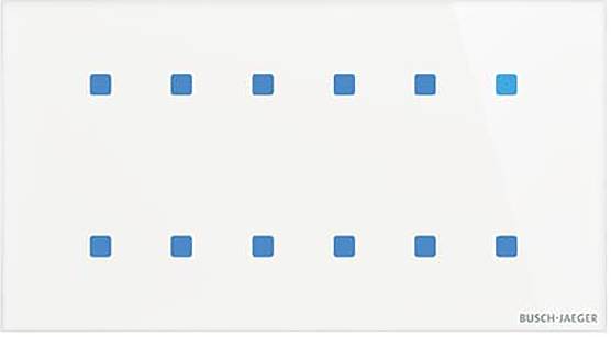 Busch-Jaeger 2CKA006300A1564 Touchscreen-Modul TB/U12.8.11-CG