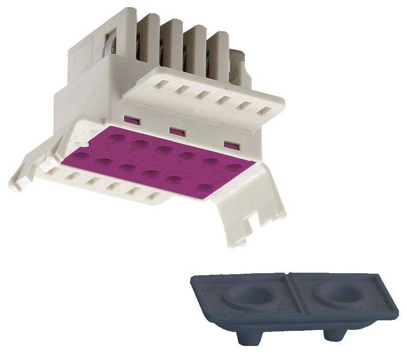 RIDI 1207042SI Einspeisung 1St.