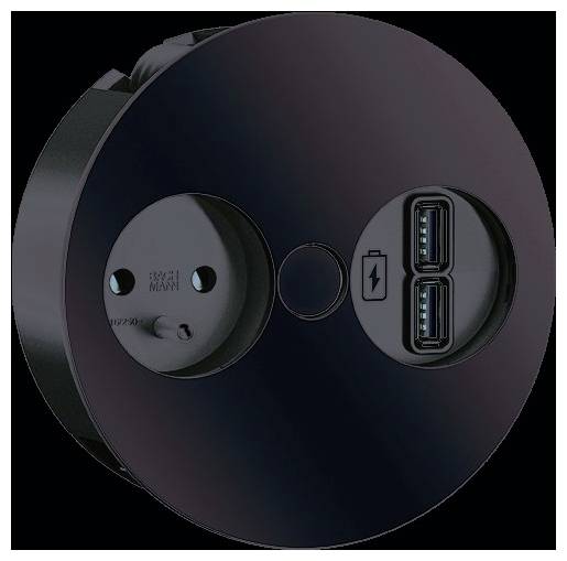 Schwarze runde Steckdose mit einer Standard-Europasteckdose auf der linken Seite und zwei USB-Anschlüssen auf der rechten Seite, konstruiert für einfachen Zugriff.