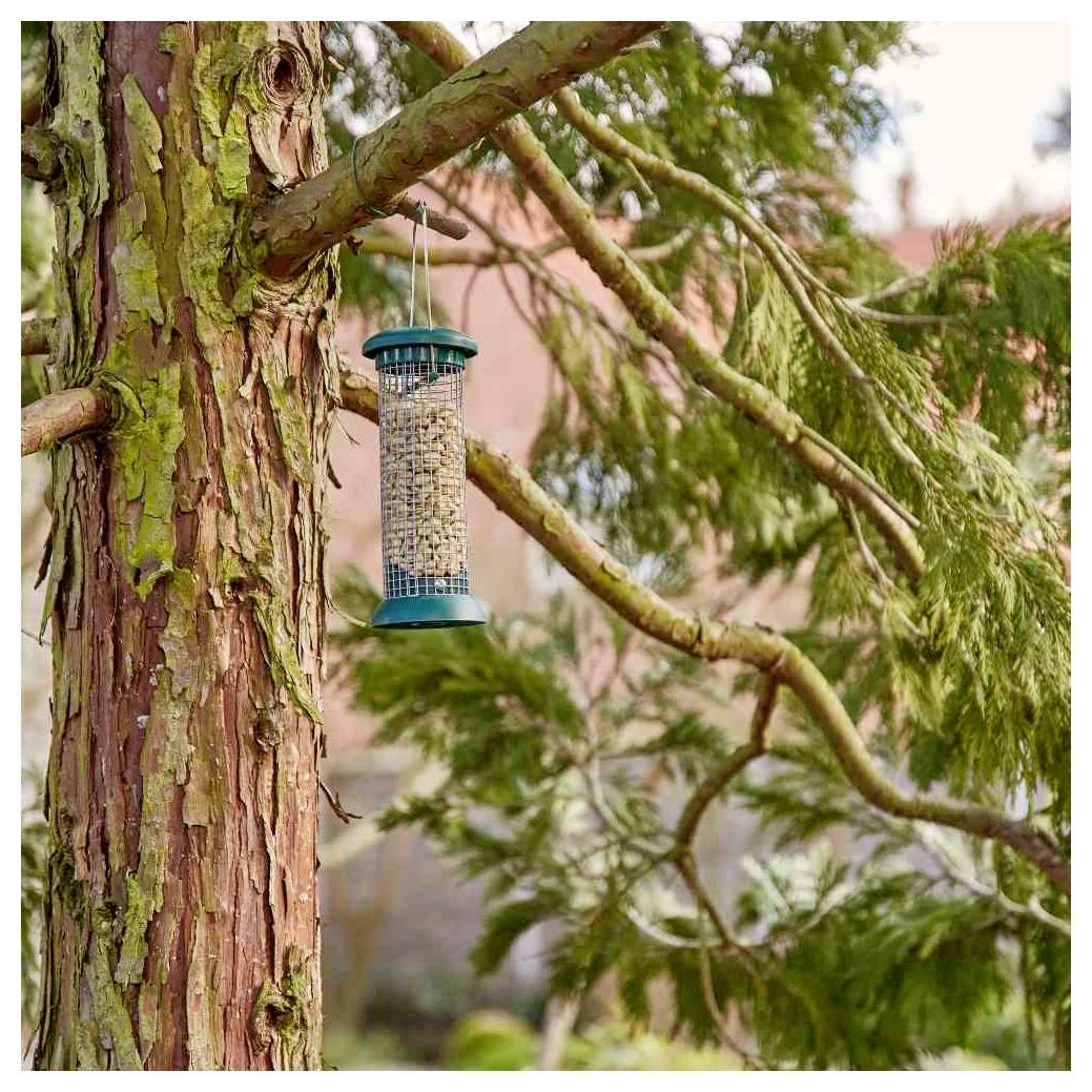 Ein mit Samen gefüllter Vogelfutterplatz hängt von einem Ast eines Baumes mit abgelöster Rinde herab, umgeben von grünem Laub in einer Außenumgebung.