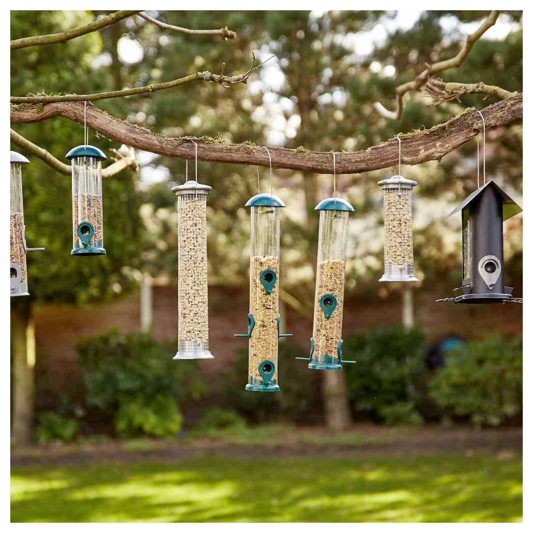 Mehrere mit Samen gefüllte Vogelfutterhäuschen hängen an einem Ast im Garten und bieten Vögeln eine Vielzahl von Fütterungsmöglichkeiten.